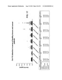 OVR110 Antibody Compositions and Methods of Use diagram and image