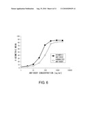 Anti-Prominin-1 Antibody having ADCC Activity or CDC Activity diagram and image