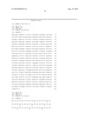 Anti-Prominin-1 Antibody having ADCC Activity or CDC Activity diagram and image