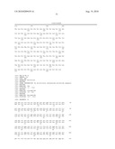 Anti-Prominin-1 Antibody having ADCC Activity or CDC Activity diagram and image