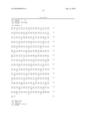 Anti-Prominin-1 Antibody having ADCC Activity or CDC Activity diagram and image