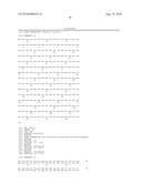 Anti-Prominin-1 Antibody having ADCC Activity or CDC Activity diagram and image