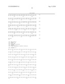 Anti-Prominin-1 Antibody having ADCC Activity or CDC Activity diagram and image