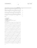 Anti-Prominin-1 Antibody having ADCC Activity or CDC Activity diagram and image