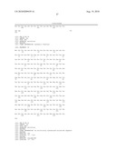 Anti-Prominin-1 Antibody having ADCC Activity or CDC Activity diagram and image