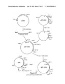 MAGE3 Polypeptides diagram and image