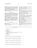 MAGE3 Polypeptides diagram and image