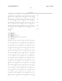 MAGE3 Polypeptides diagram and image