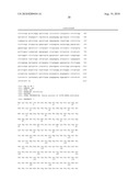 MAGE3 Polypeptides diagram and image