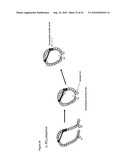 MUTANT DOUBLE CYCLIZED RECEPTOR PEPTIDES INHIBITING BETA1-ADRENOCEPTOR ANTIBODIES diagram and image