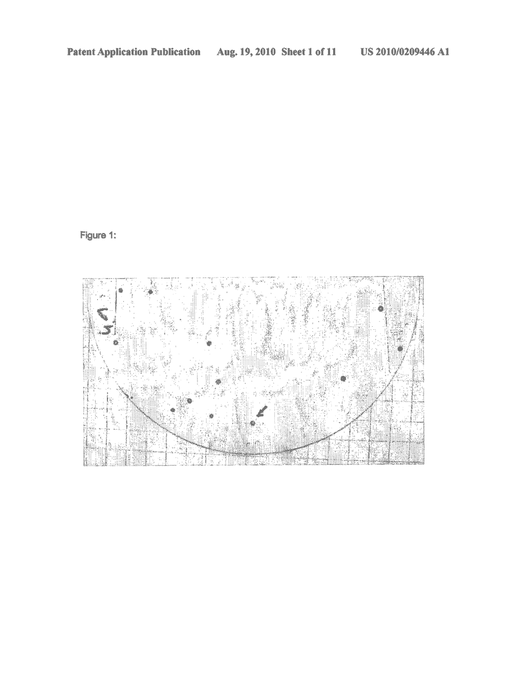 Ostertagia Vaccine - diagram, schematic, and image 02