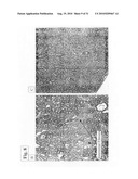 TDF-RELATED COMPOUNDS AND ANALOGS THEREOF, ANALOGS AND BIOACTIVE FRAGMENTS diagram and image