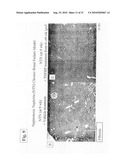 TDF-RELATED COMPOUNDS AND ANALOGS THEREOF, ANALOGS AND BIOACTIVE FRAGMENTS diagram and image