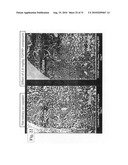 TDF-RELATED COMPOUNDS AND ANALOGS THEREOF, ANALOGS AND BIOACTIVE FRAGMENTS diagram and image