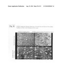 TDF-RELATED COMPOUNDS AND ANALOGS THEREOF, ANALOGS AND BIOACTIVE FRAGMENTS diagram and image