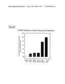 TDF-RELATED COMPOUNDS AND ANALOGS THEREOF, ANALOGS AND BIOACTIVE FRAGMENTS diagram and image