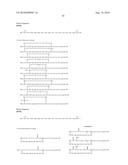 TDF-RELATED COMPOUNDS AND ANALOGS THEREOF, ANALOGS AND BIOACTIVE FRAGMENTS diagram and image