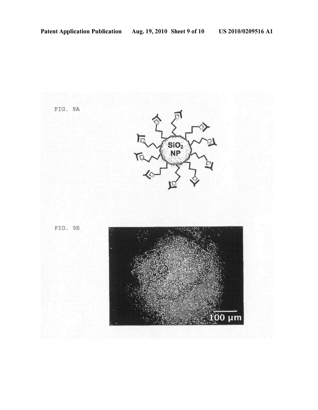 Triggered Drug Release Via Physiologically Responsive Polymers - diagram, schematic, and image 10