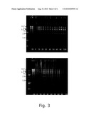 PHAGE RESISTANCE diagram and image