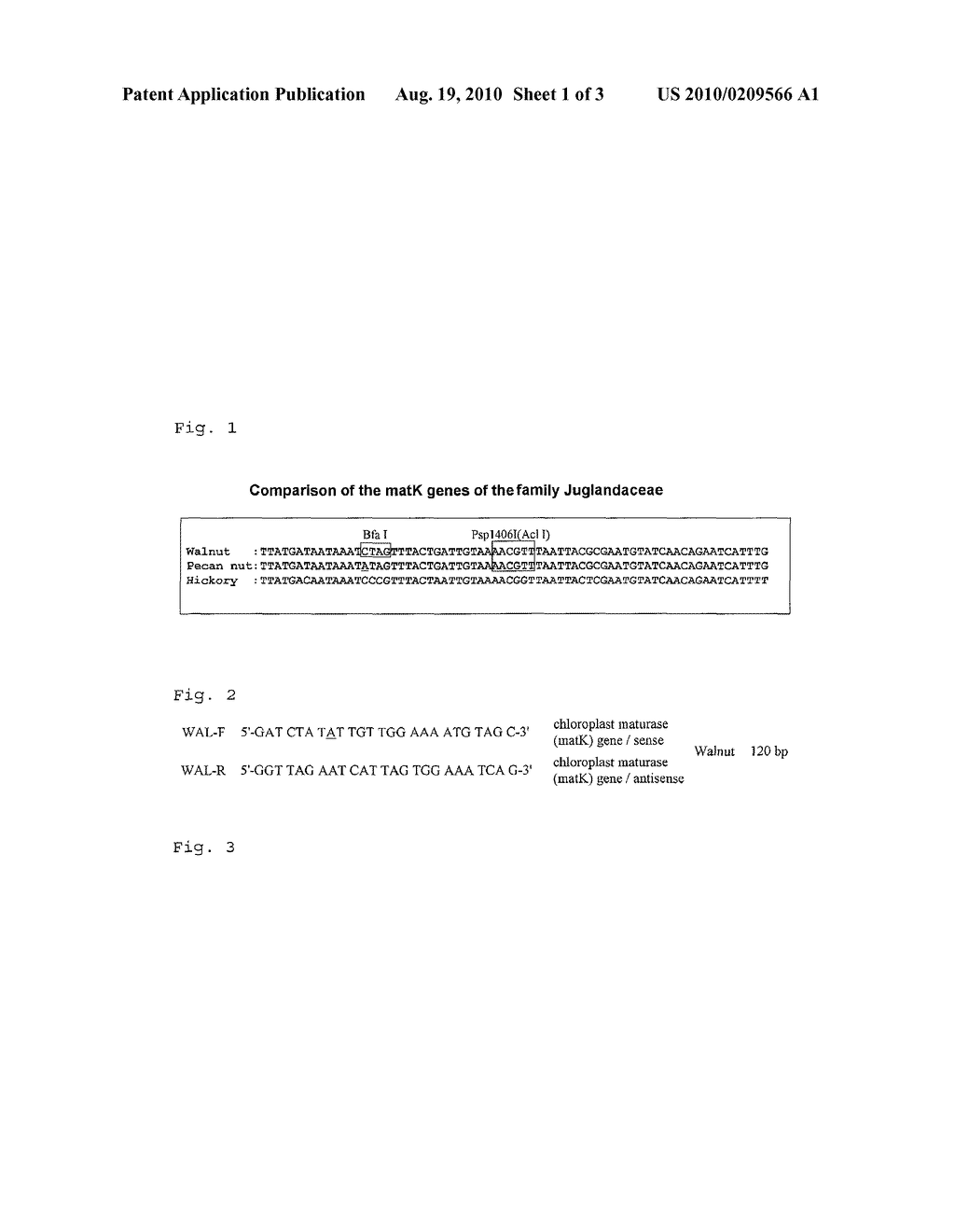 METHOD OF SEPARATING AND DISTINGUISHING WALNUT FROM PECAN NUT - diagram, schematic, and image 02