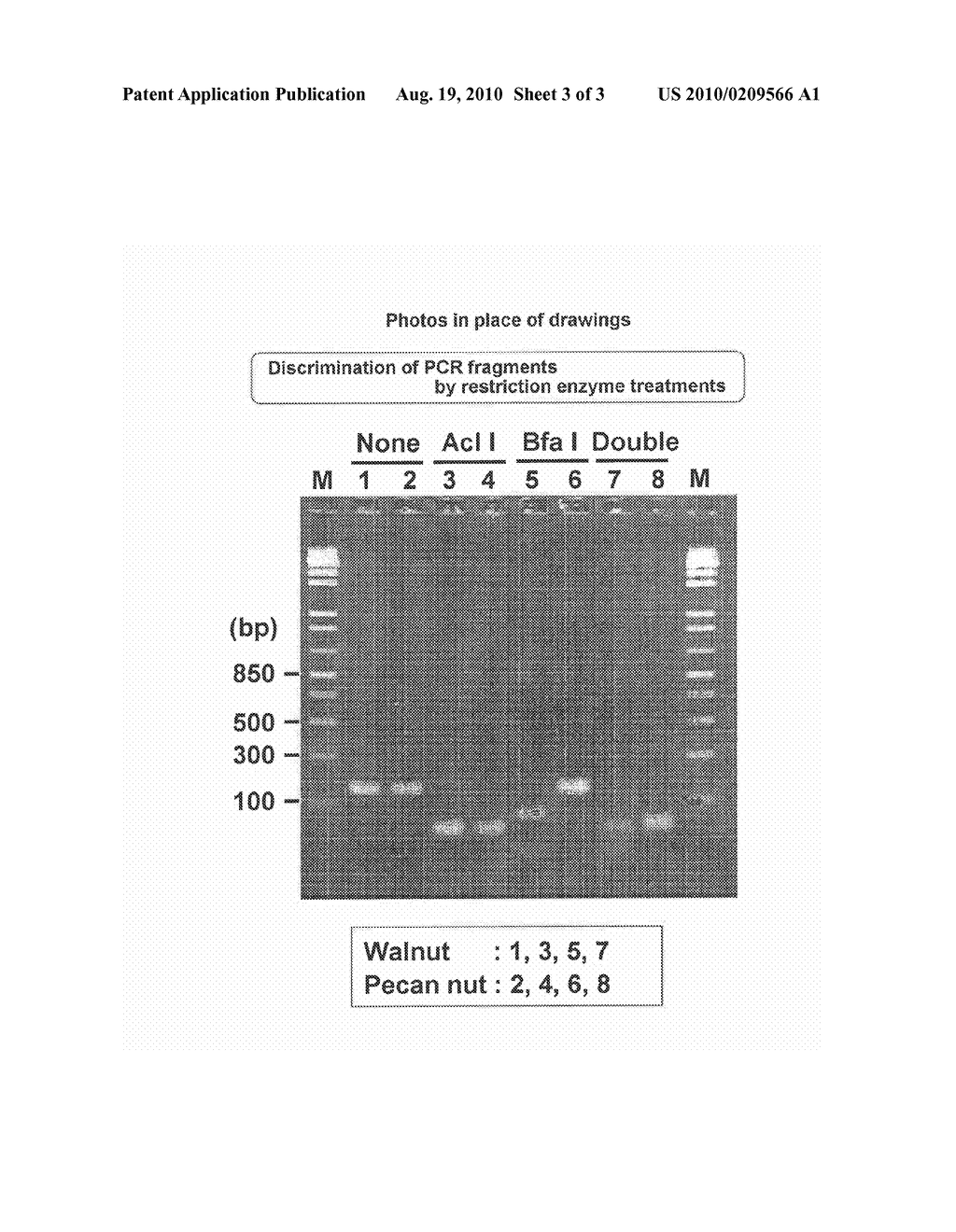 METHOD OF SEPARATING AND DISTINGUISHING WALNUT FROM PECAN NUT - diagram, schematic, and image 04