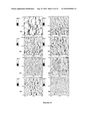 ULTRA SMOOTH NANOSTRUCTURED DIAMOND FILMS AND COMPOSITIONS AND METHODS FOR PRODUCING SAME diagram and image