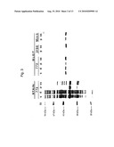 PROTEIN D - AN IGD-BINDING PROTEIN OF HAEMOPHILUS INFLUENZAE diagram and image