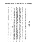 PROTEIN D - AN IGD-BINDING PROTEIN OF HAEMOPHILUS INFLUENZAE diagram and image