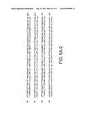 PROTEIN D - AN IGD-BINDING PROTEIN OF HAEMOPHILUS INFLUENZAE diagram and image