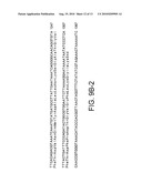 PROTEIN D - AN IGD-BINDING PROTEIN OF HAEMOPHILUS INFLUENZAE diagram and image