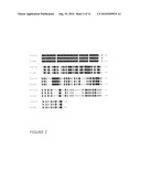 POLYNUCLEOTIDE MARKERS diagram and image