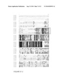 POLYNUCLEOTIDE MARKERS diagram and image