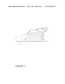 POLYNUCLEOTIDE MARKERS diagram and image