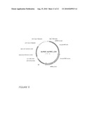 POLYNUCLEOTIDE MARKERS diagram and image