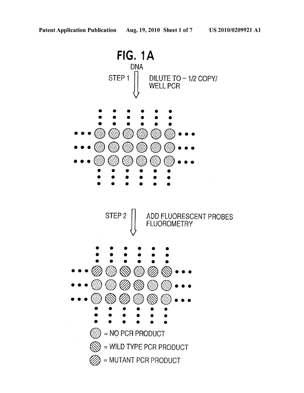 Digital Amplification - diagram, schematic, and image 02