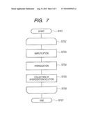 HYBRIDIZATION METHOD AND APPARATUS diagram and image