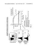 MULTIPLE MECHANISMS FOR MODULATION OF JAK/STAT ACTIVITY diagram and image