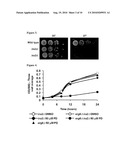 Compositions for Identifying Novel Compositions for the Treatment of Disease and Methods of Using Same diagram and image