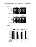 Compositions for Identifying Novel Compositions for the Treatment of Disease and Methods of Using Same diagram and image