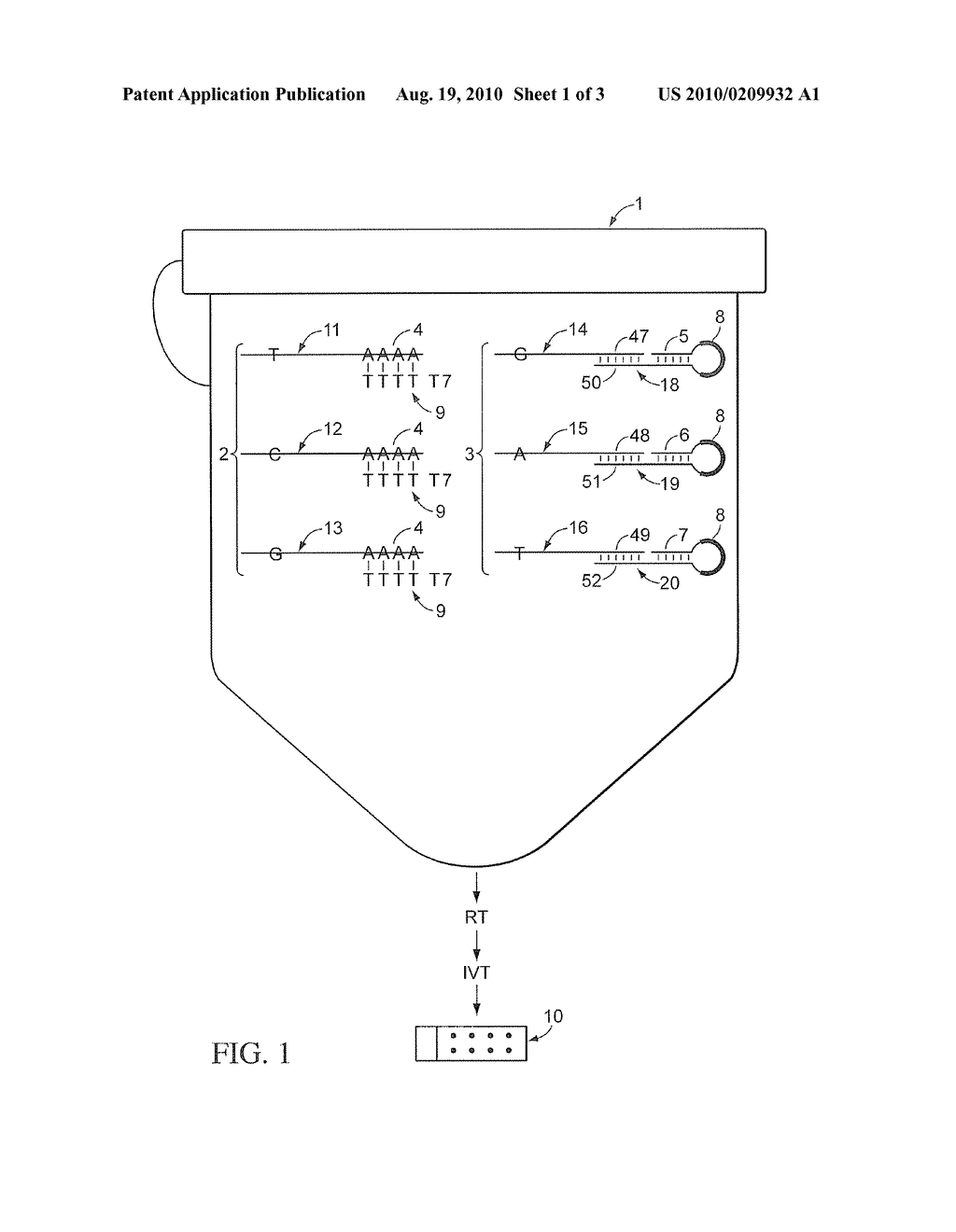 MicroRNA and Messenger RNA Detection On Arrays - diagram, schematic, and image 02