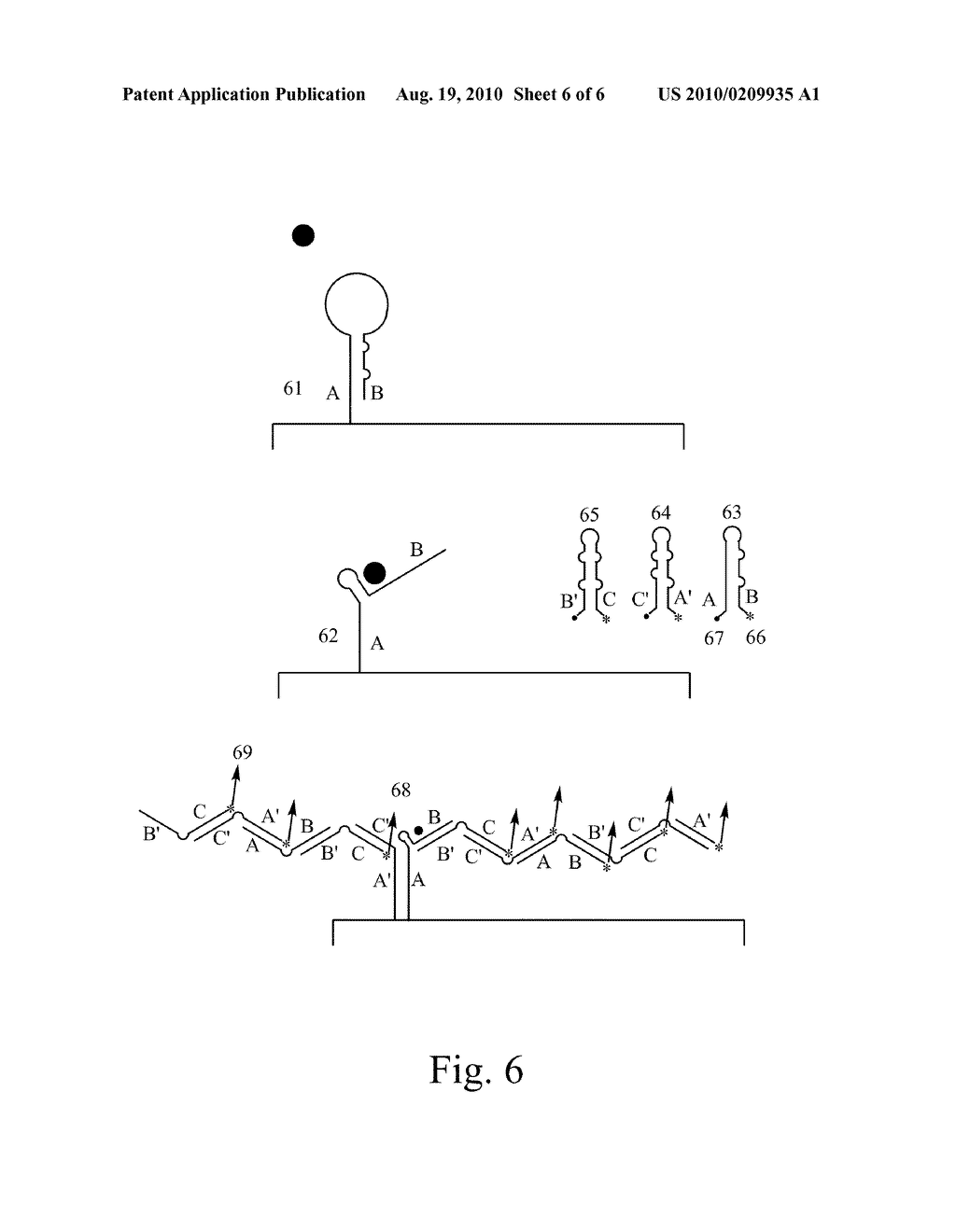 Nucleic Acid Ligand Diagnostic Biochip - diagram, schematic, and image 07