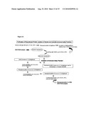 Novel recombinant 15-kDa polypeptide and use of same in detecting human infection with Bartonella henselae diagram and image