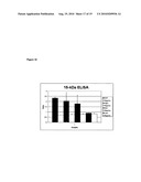 Novel recombinant 15-kDa polypeptide and use of same in detecting human infection with Bartonella henselae diagram and image