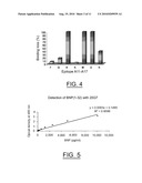 BNP(1-32) EPITOPE AND ANTIBODIES DIRECTED AGAINST SAID EPITOPE diagram and image