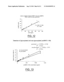 BNP(1-32) EPITOPE AND ANTIBODIES DIRECTED AGAINST SAID EPITOPE diagram and image