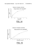 BNP(1-32) EPITOPE AND ANTIBODIES DIRECTED AGAINST SAID EPITOPE diagram and image