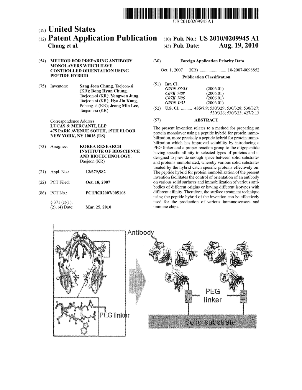 METHOD FOR PREPARING ANTIBODY MONOLAYERS WHICH HAVE CONTROLLED ORIENTATION USING PEPTIDE HYBRID - diagram, schematic, and image 01