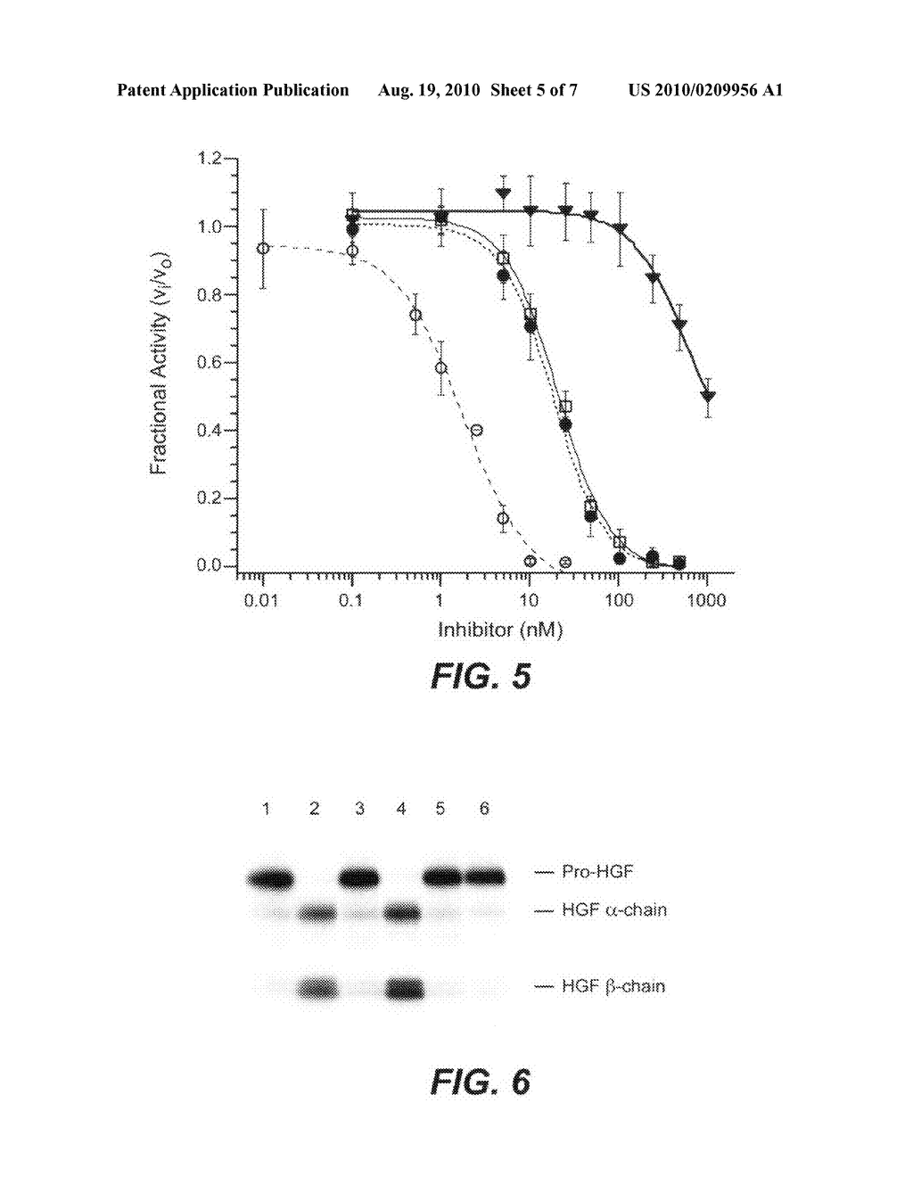 METHODS AND COMPOSITIONS FOR MODULATING HEPATOCYTE GROWTH FACTOR ACTIVATION - diagram, schematic, and image 06