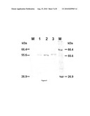 GERANIOL SYNTHASE, METHODS OF PRODUCTION AND USES THEREOF diagram and image