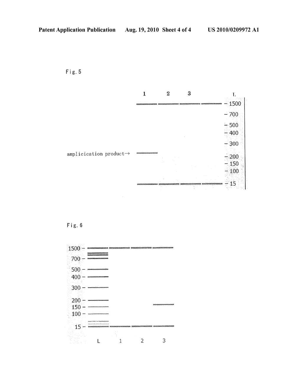 METHOD FOR SYNTHESIS OF SINGLE- OR DOUBLE-STRANDED DNA, AND KIT FOR THE SYNTHESIS - diagram, schematic, and image 05